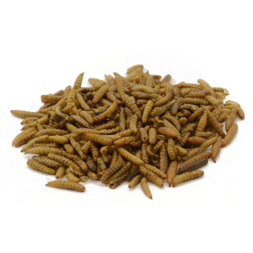 Wilko Wild Bird Dried Calci Worms 500g Image 3