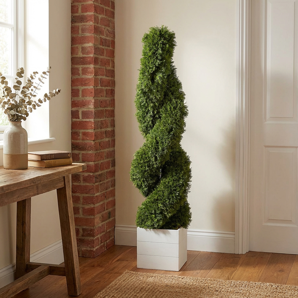 Cypress Spiral Tree - Green Image 5