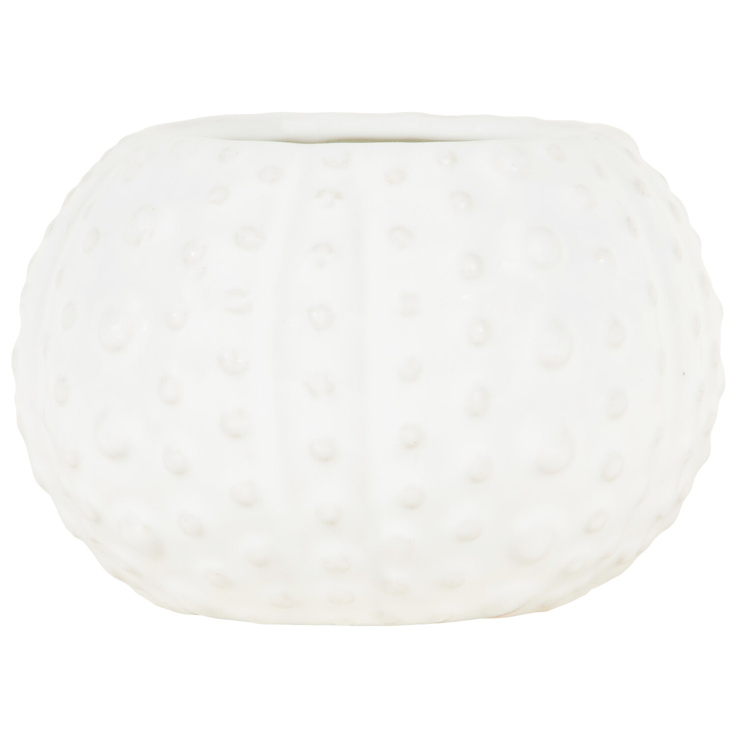 Sea Breeze Shell Candle - White Image 3