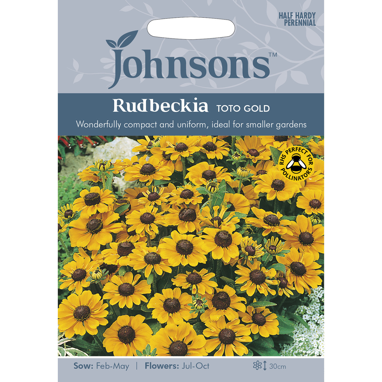 Johnsons Pack of Toto Gold Rudbeckia Flower Seeds Image 2