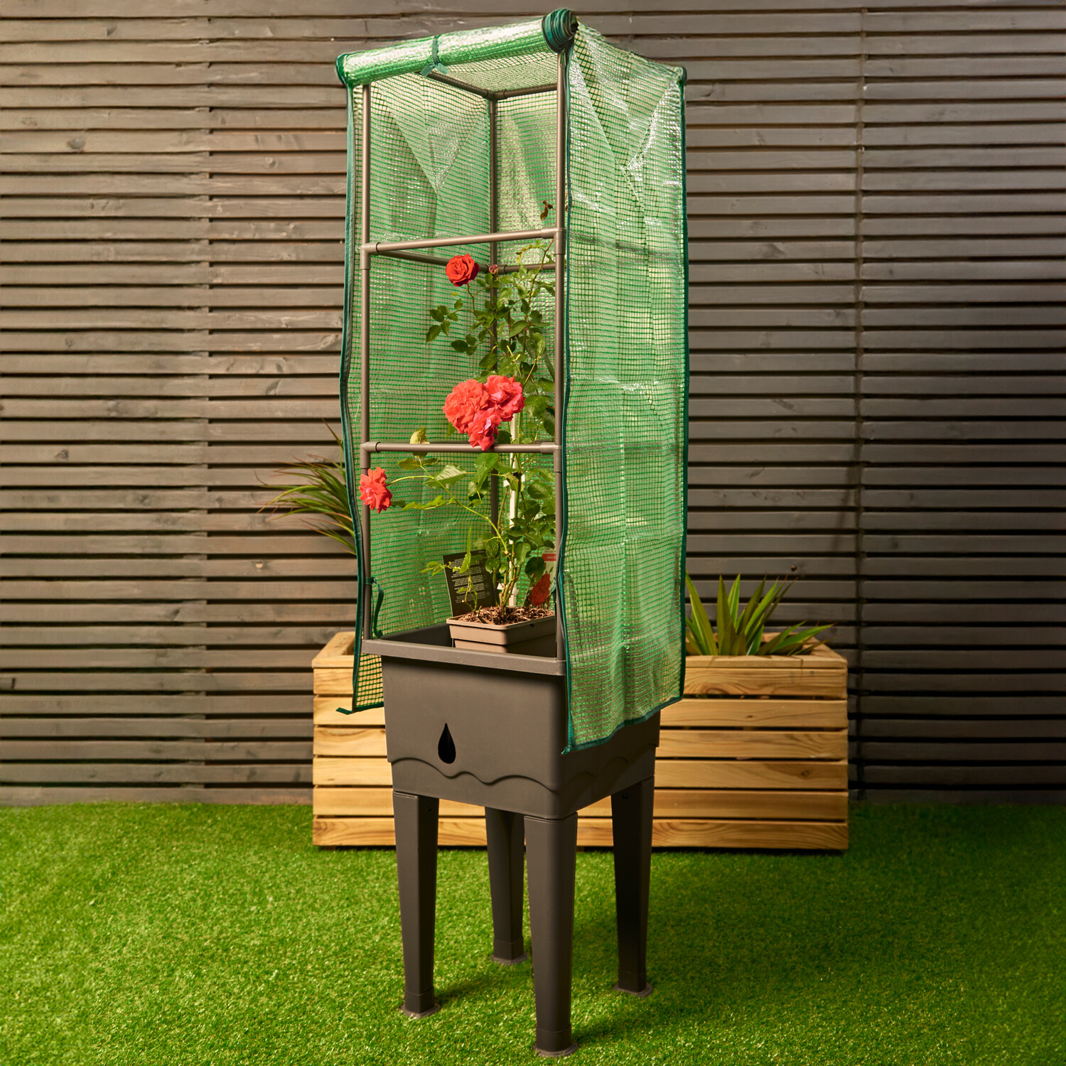 Raised Planter with Grow Frame and Cover Image 2