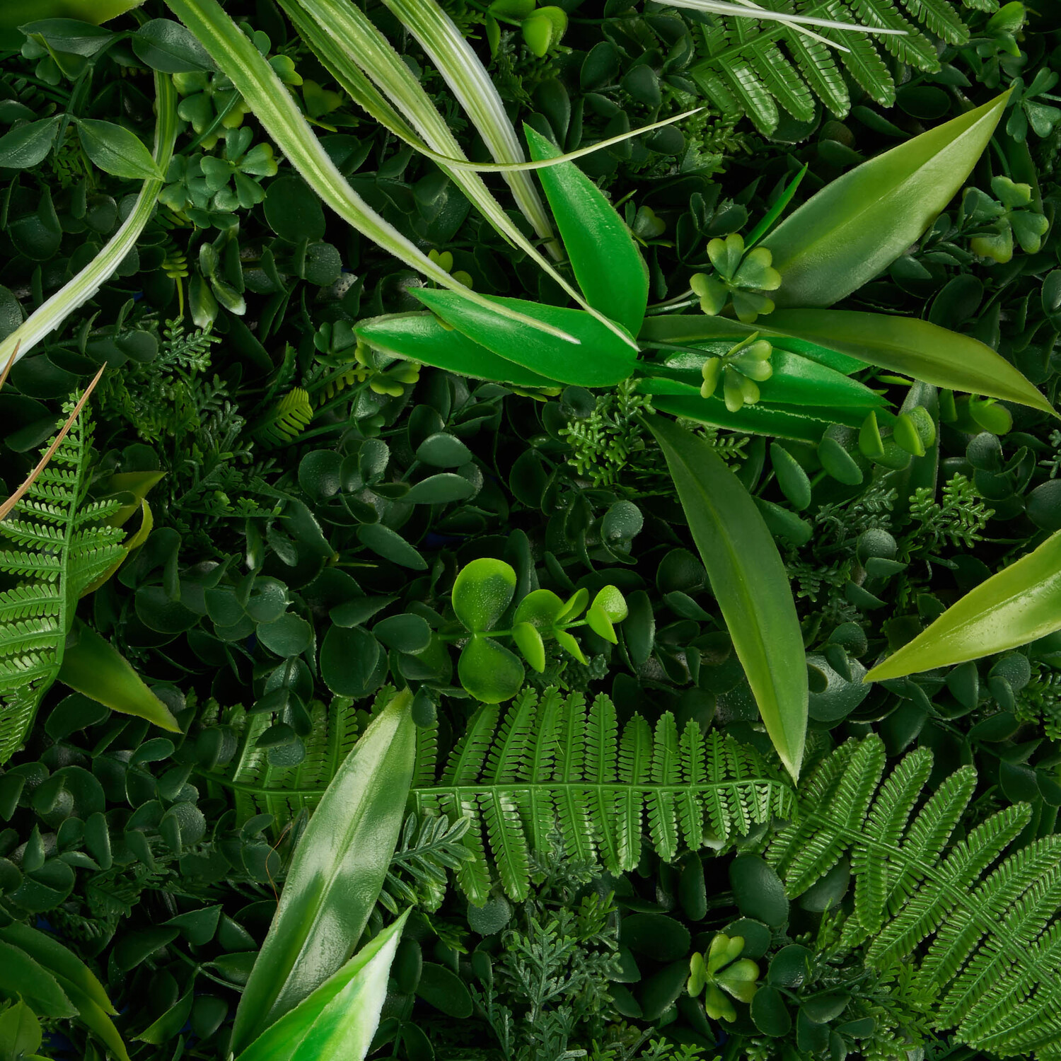 Forest Leaf Panel Image 2