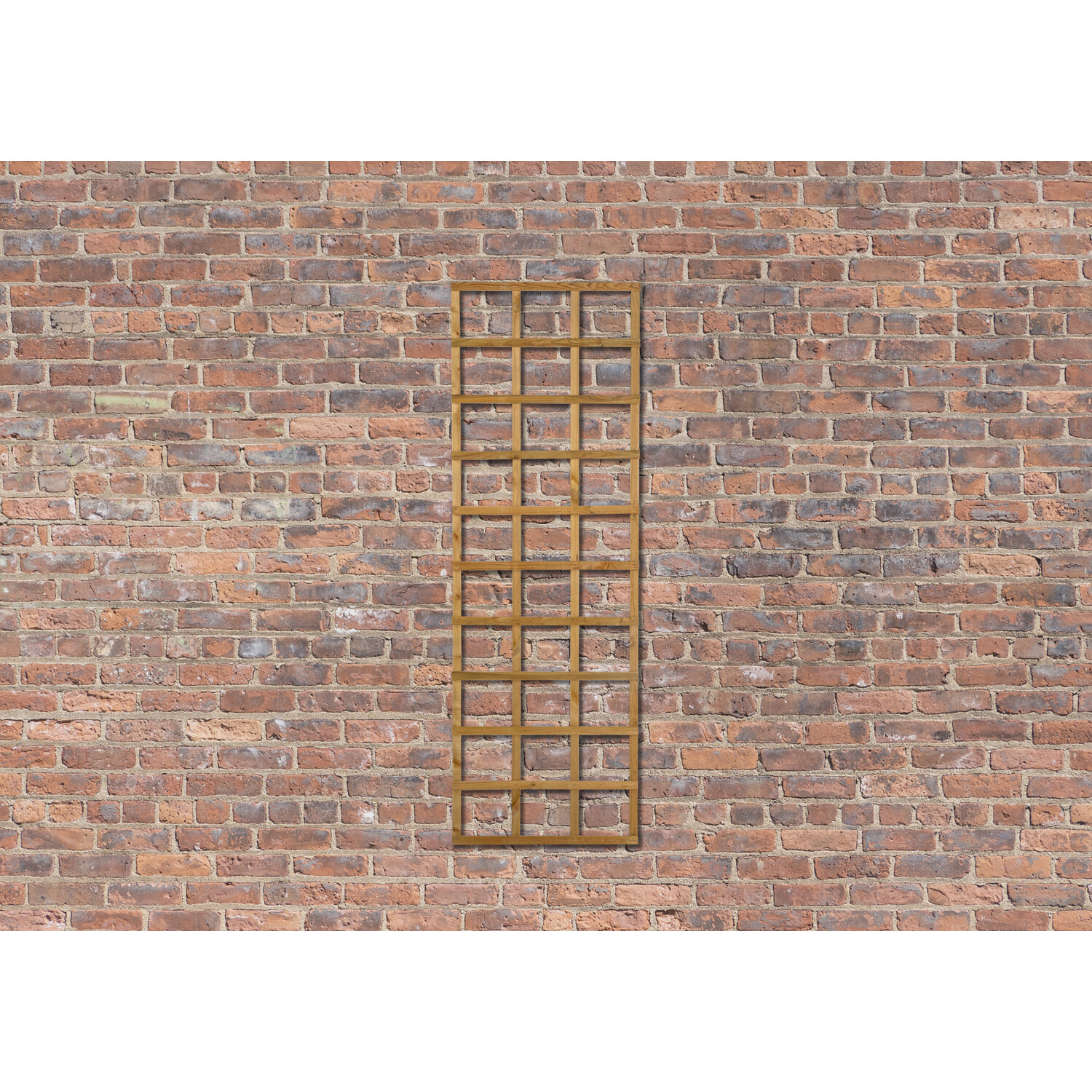 Planed Trellis - 2ft Image 4
