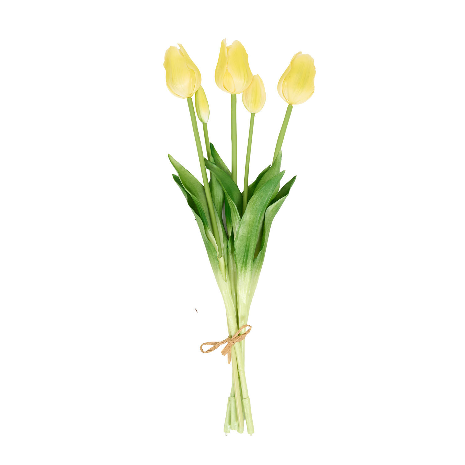 Bright Tulip Bunch Image 13