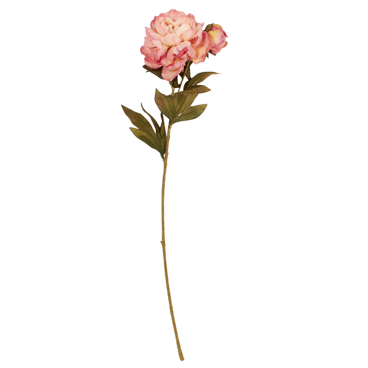 Open Peony - White or Pink Image 5