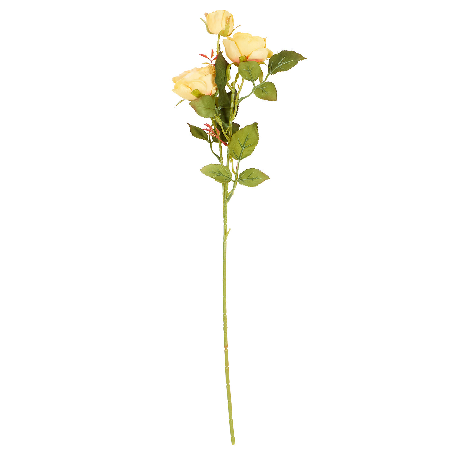 Alora Rose Stem  - Multicolour Image 3