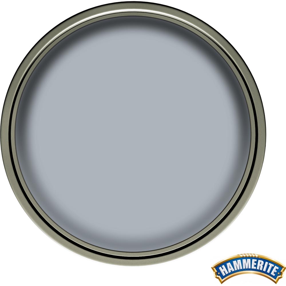 Hammerite Direct to Rust Silver Smooth Metal Paint 750ml Image 3
