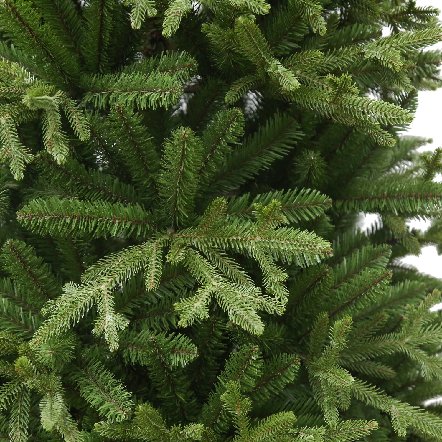 Ashford Fir Tree Green 7ft Image 3