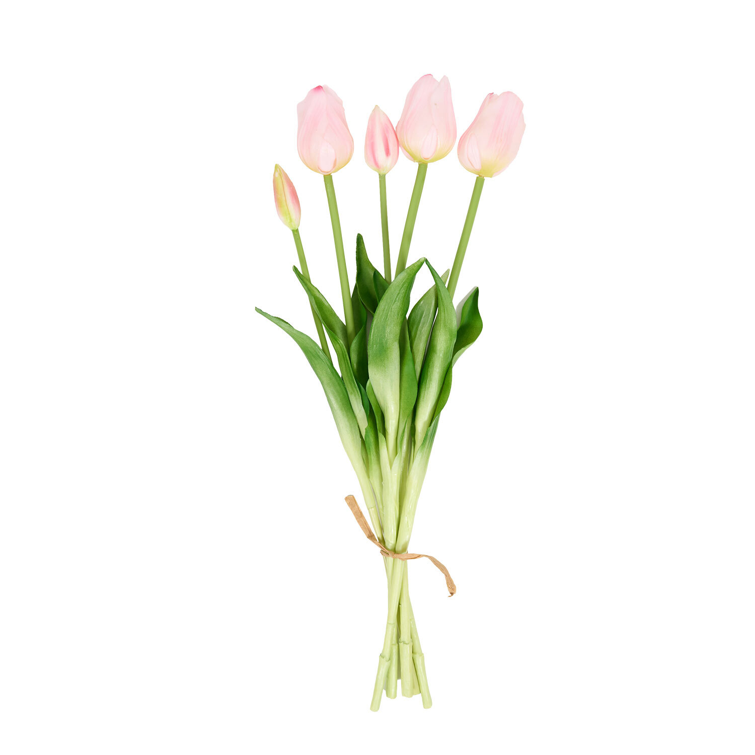 Bright Tulip Bunch Image 10