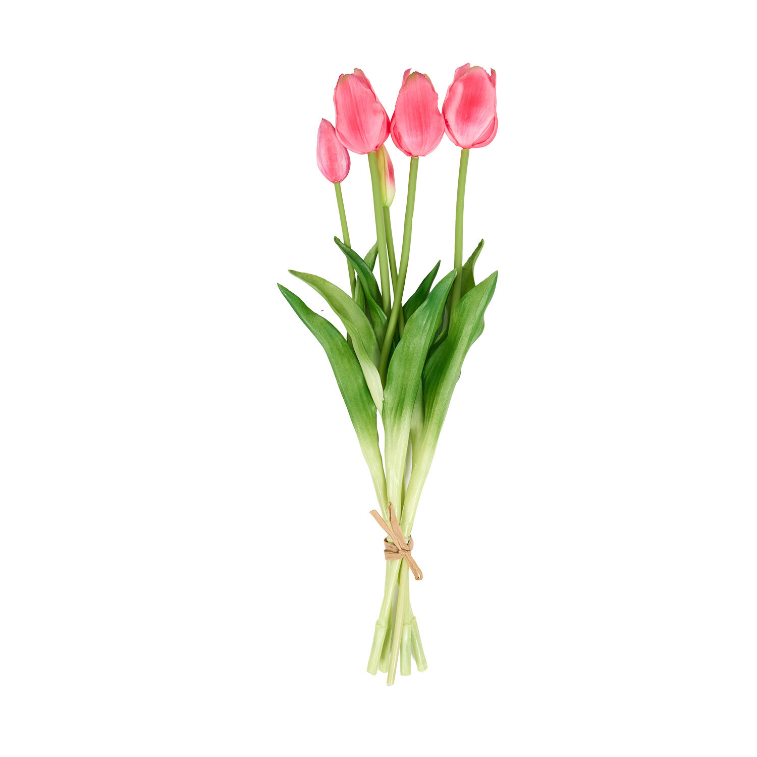 Bright Tulip Bunch Image 9