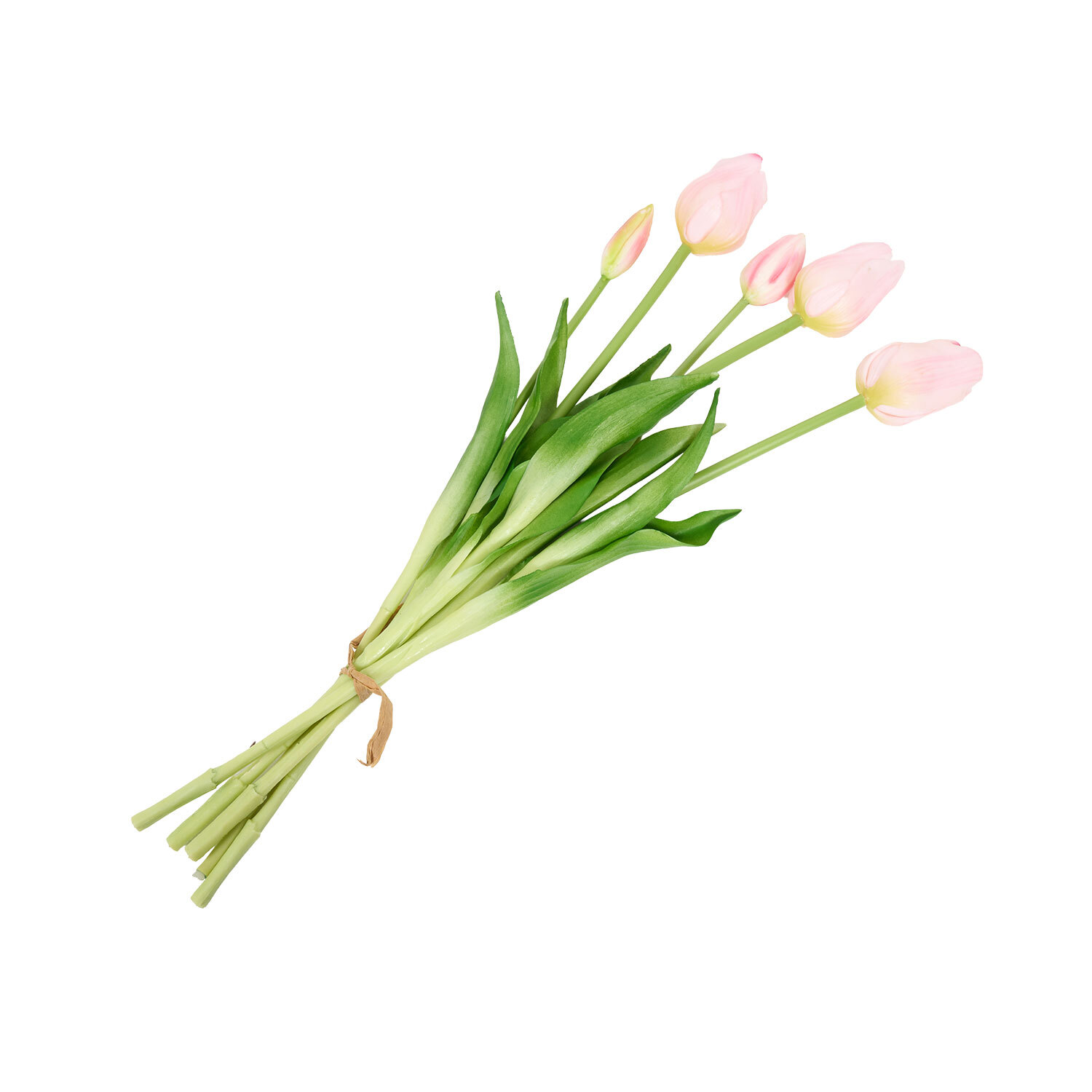 Bright Tulip Bunch Image 8