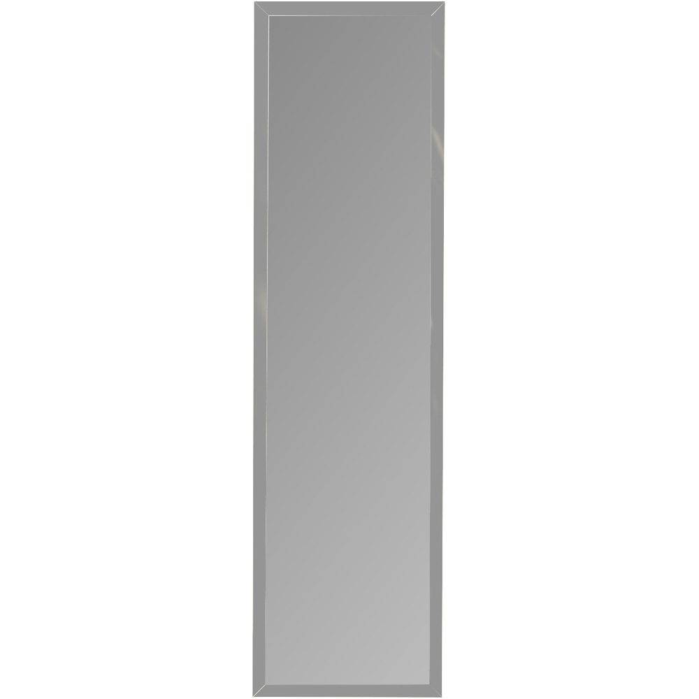 Single Metallic Over Door Mirror 123.8 x 33.8cm in Assorted styles Image 3