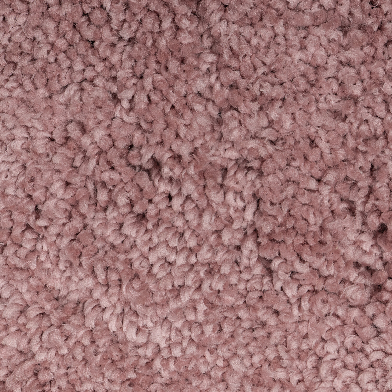 Alaska Rose Shaggy Medium Rug 120 x 180cm Image 2