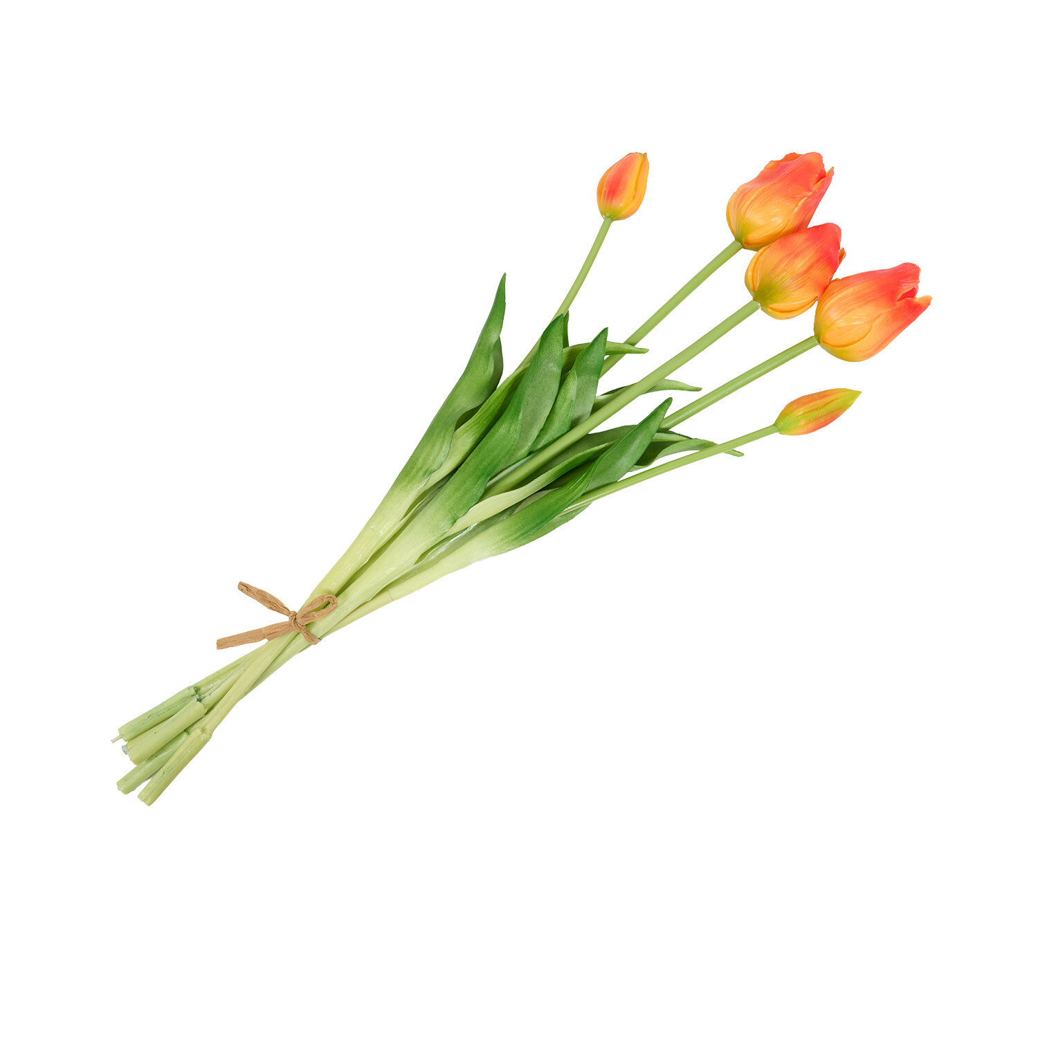 Bright Tulip Bunch Image 16