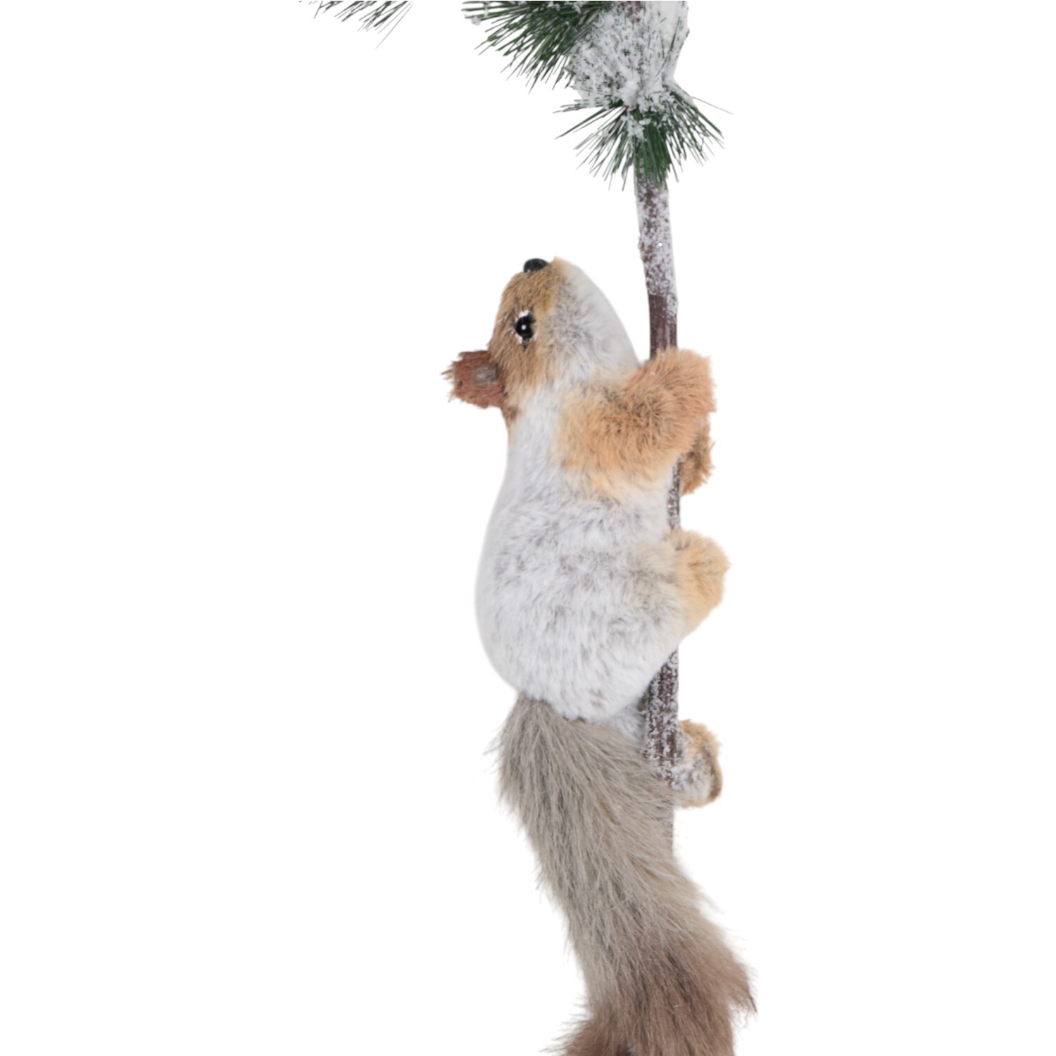 Steve the Squirrel Decoration Image 3