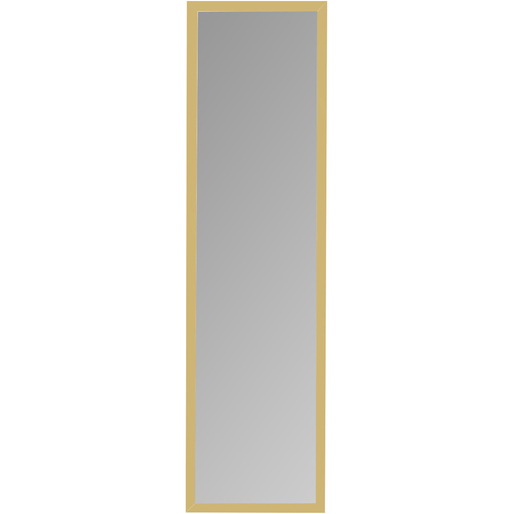 Single Metallic Over Door Mirror 123.8 x 33.8cm in Assorted styles Image 2