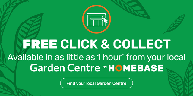 Click and collect available