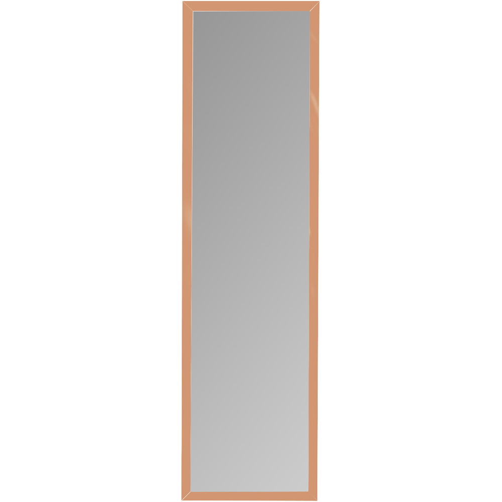 Single Metallic Over Door Mirror 123.8 x 33.8cm in Assorted styles Image 4