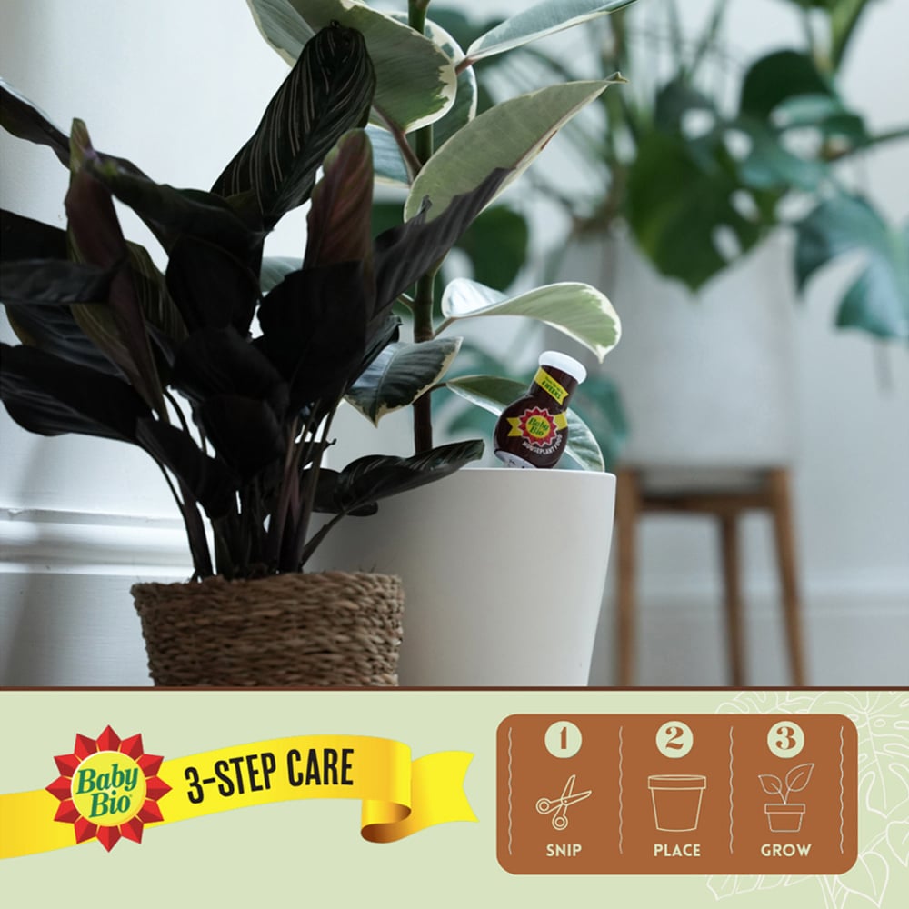 Baby Bio Drip Feeders 40ml 4 Pack Image 5