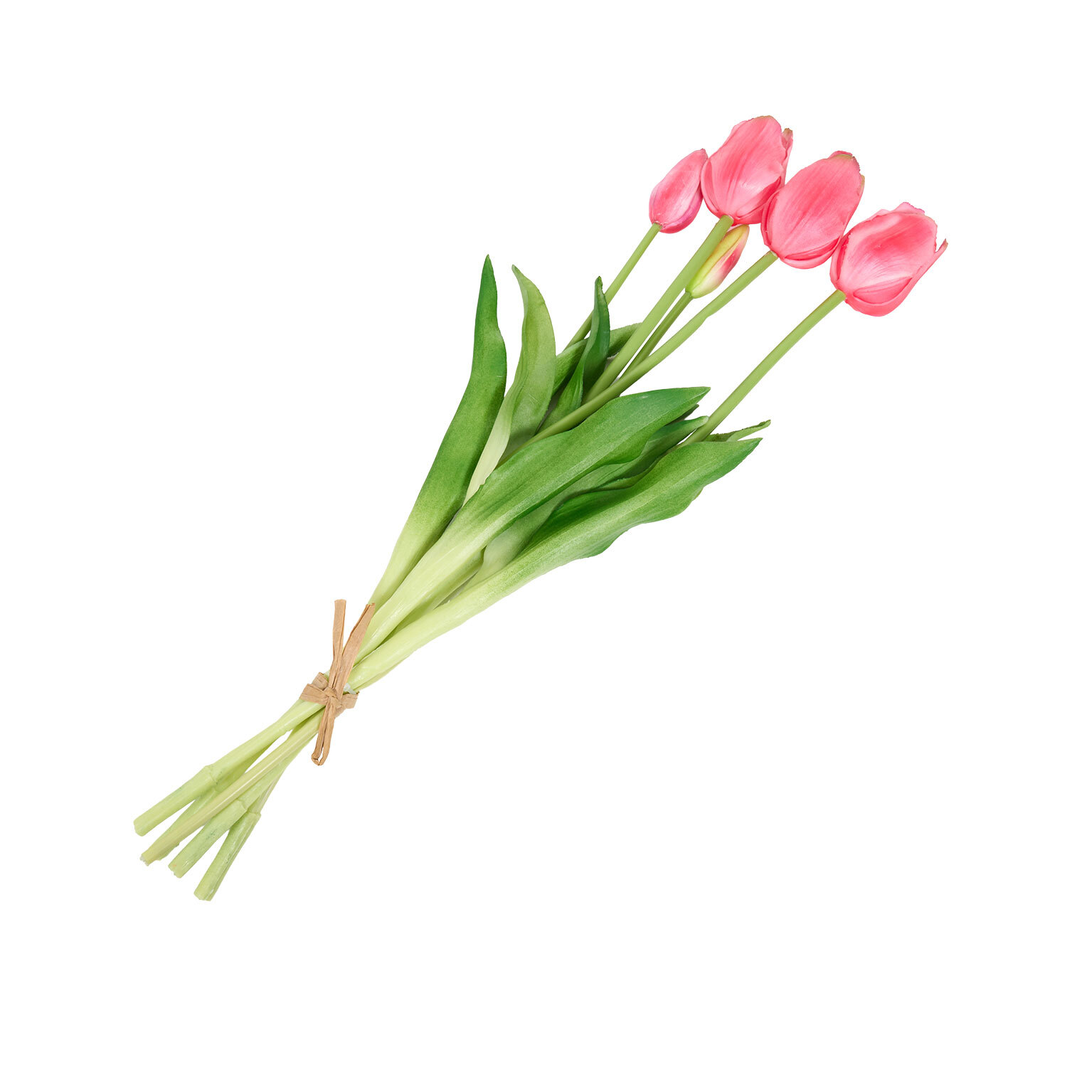 Bright Tulip Bunch Image 14