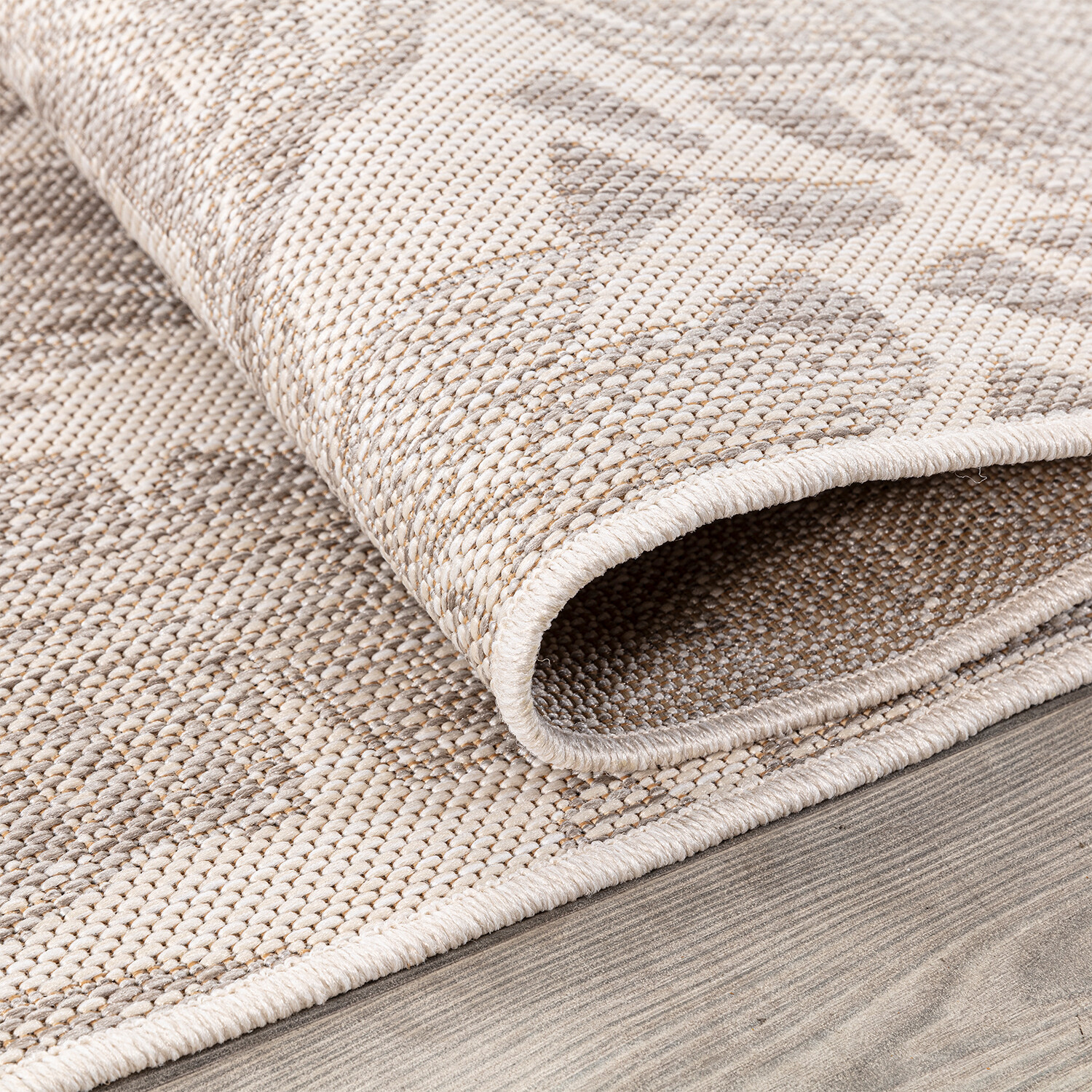 California Leaf Indoor and Outdoor Rug - Neutral / 160cm Image 3