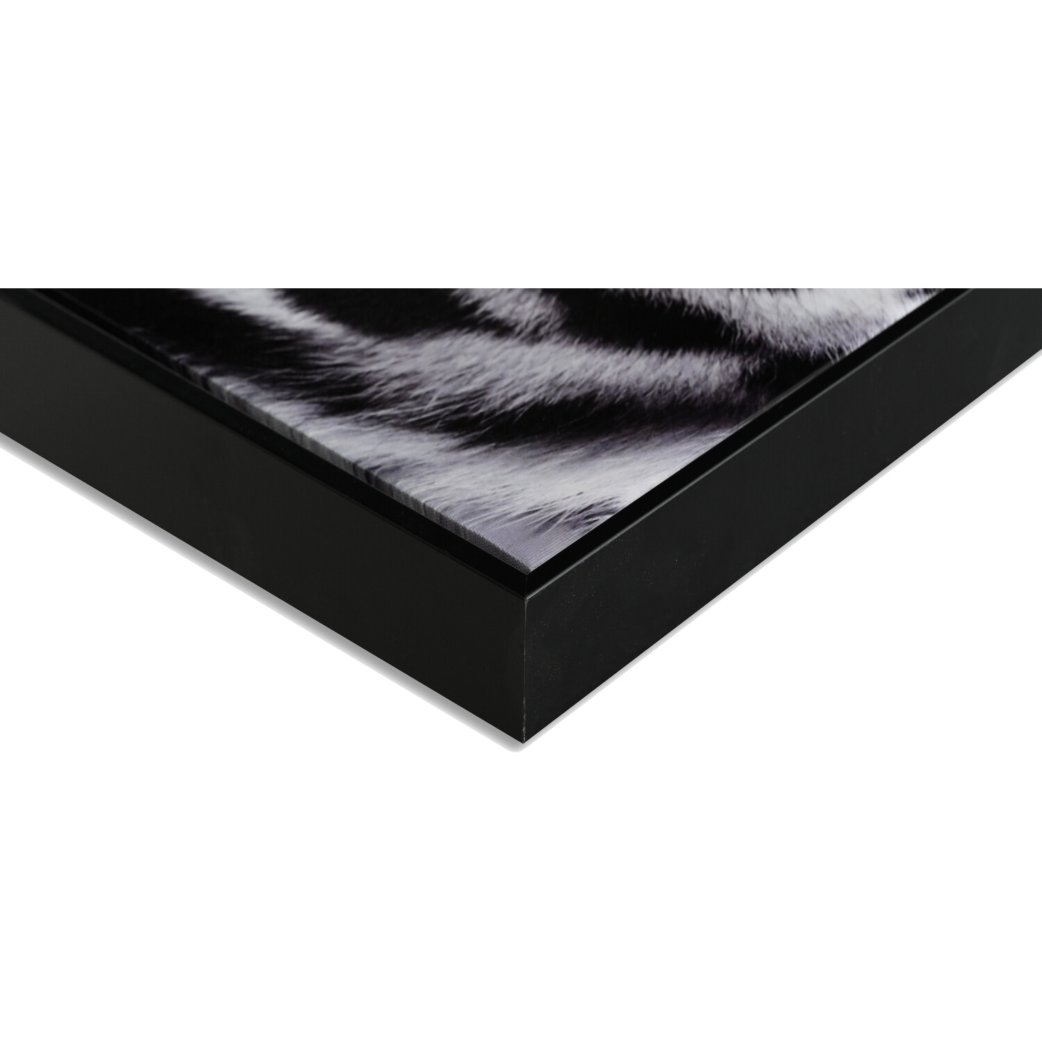 Striking Tiger Adorned Framed Print - Black Image 3