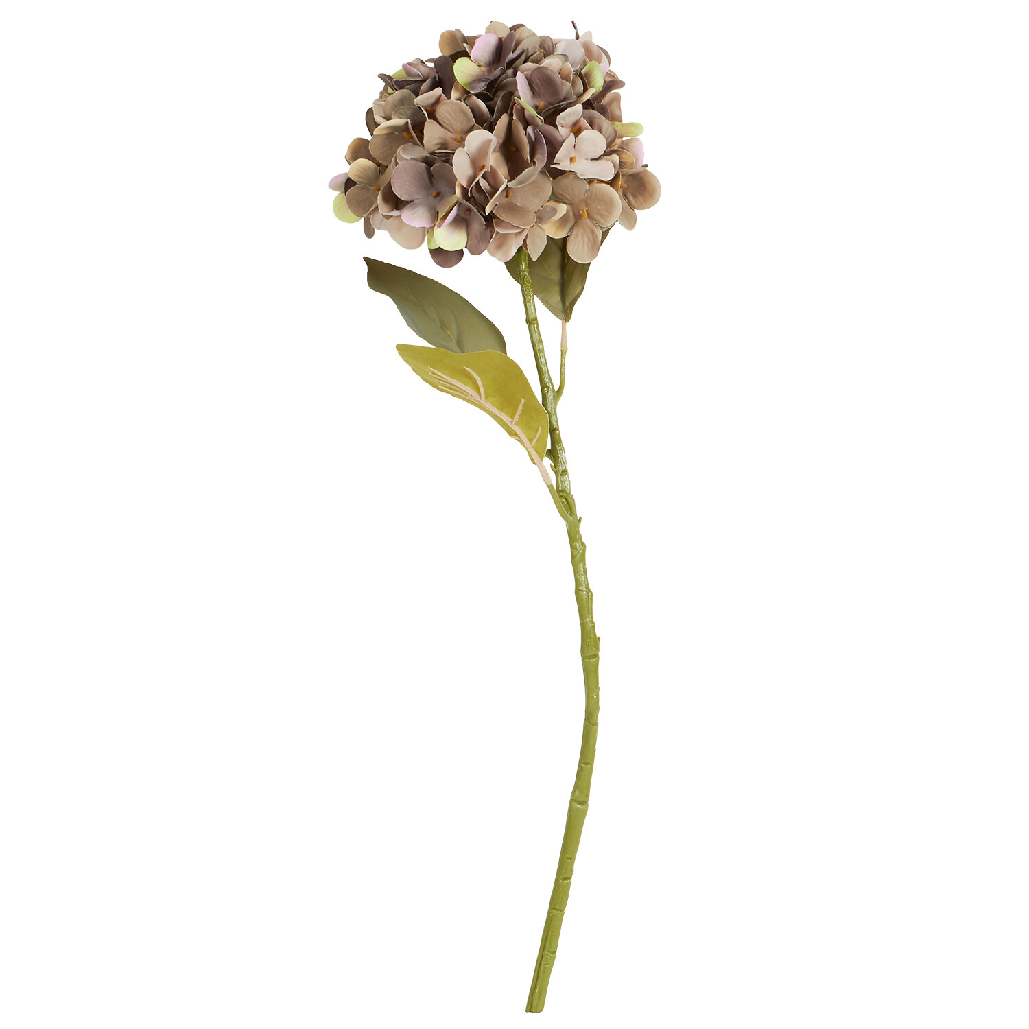 Assorted Hydrangea Single Stem - Orange or Purple Image 3
