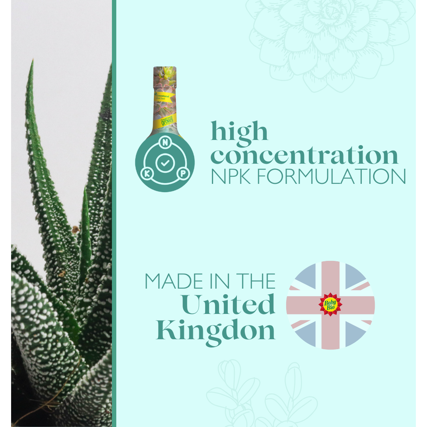 Baby Bio Succulent Food - Green Image 5