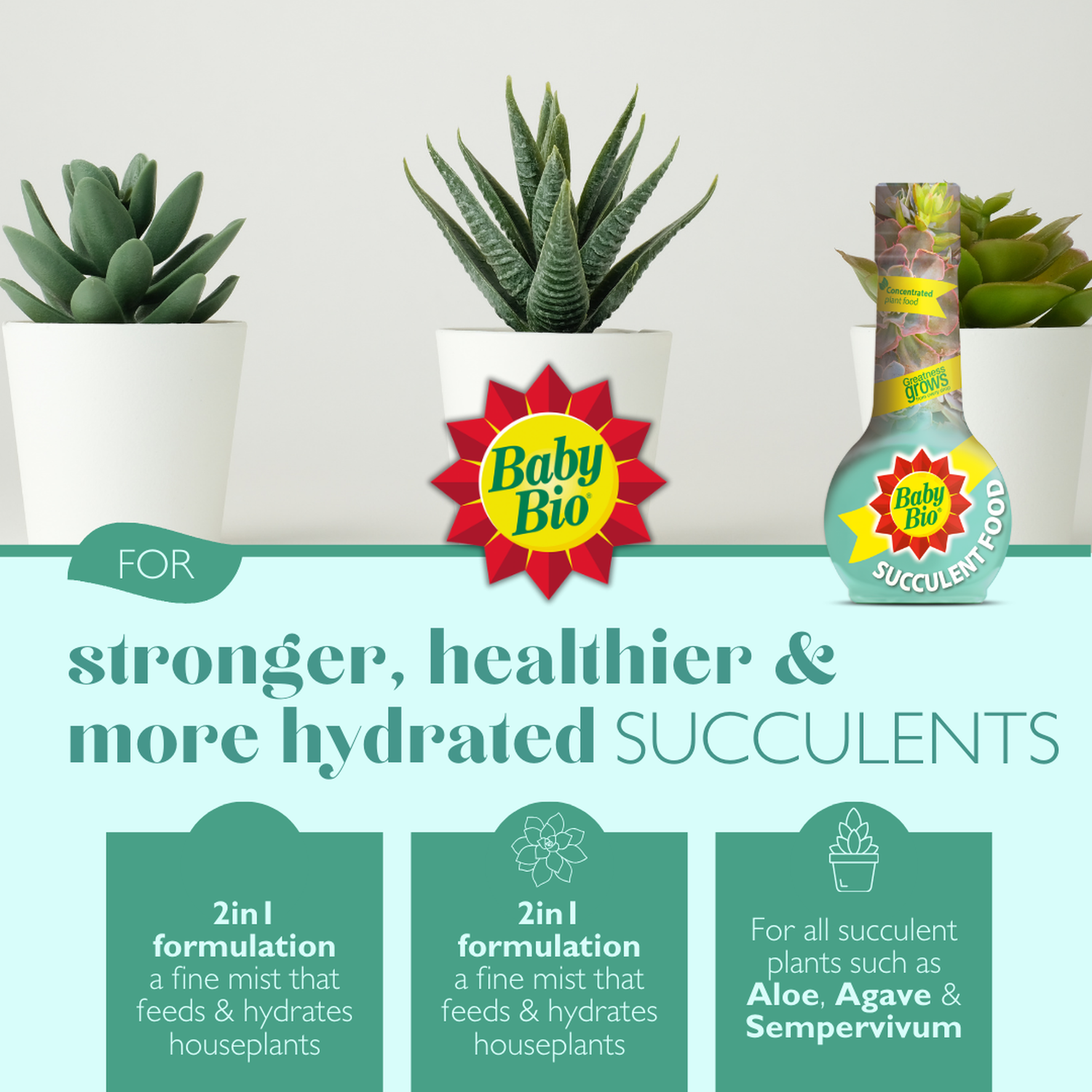 Baby Bio Succulent Food - Green Image 3