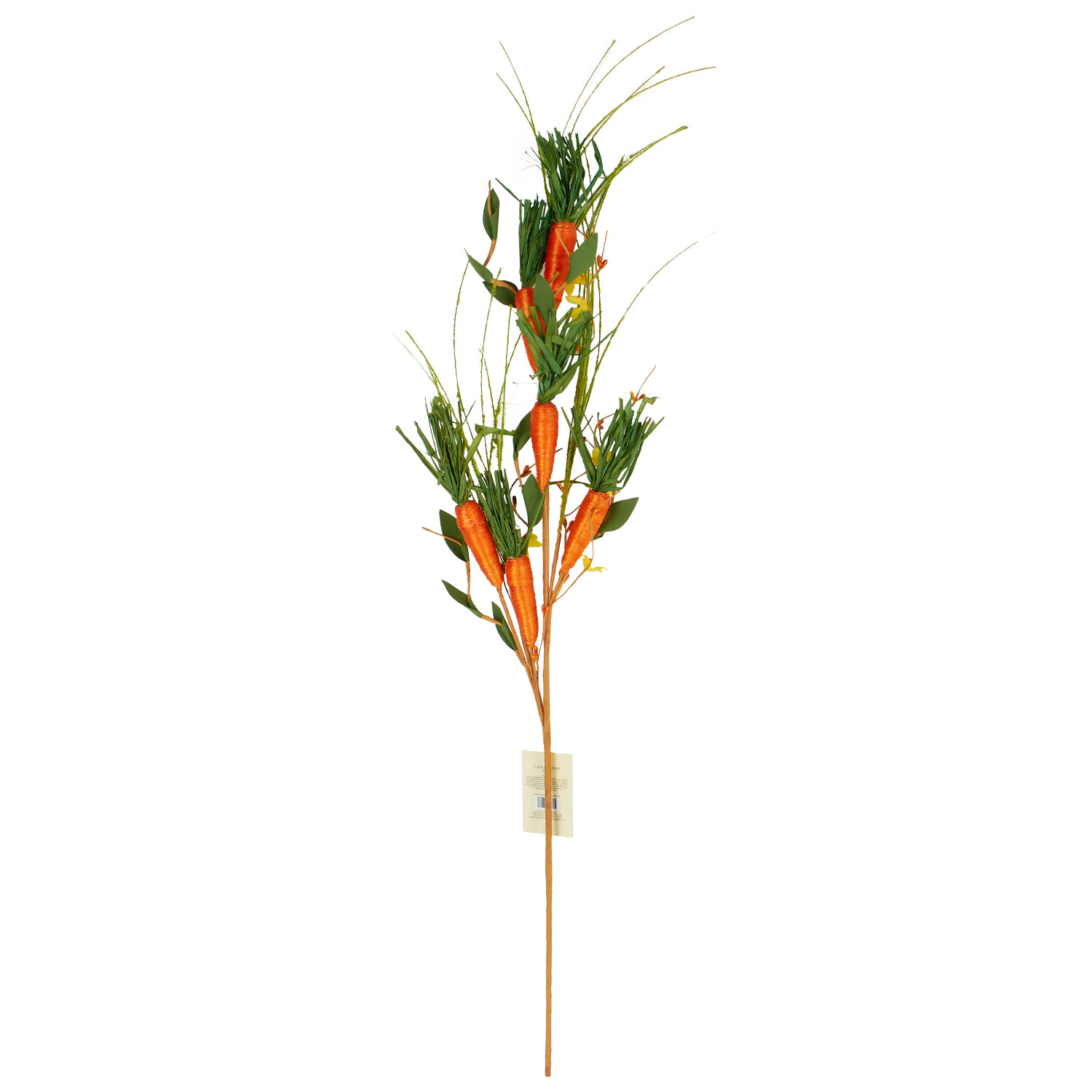 Carrot Stem 85cm - Multicolour Image 2