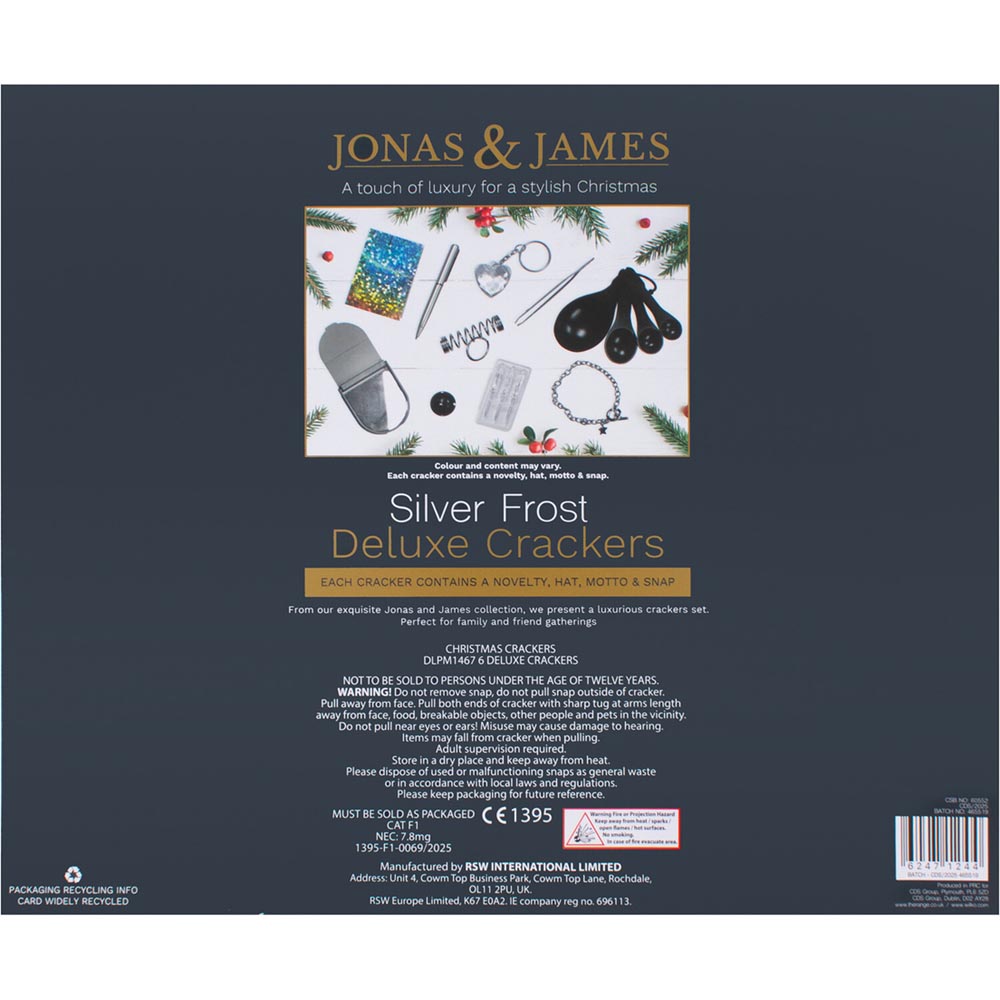 Pack of 6 Frost Deluxe Crackers - Silver Image 2