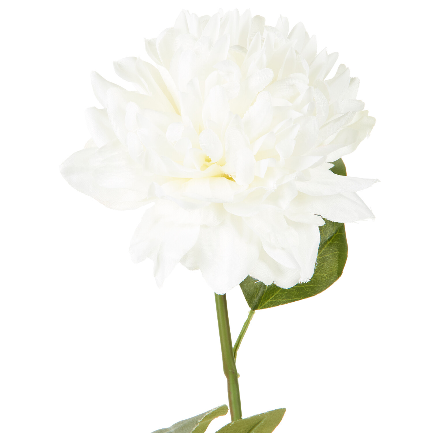 Assorted Pom Stem  - Yellow or Cream Image 6