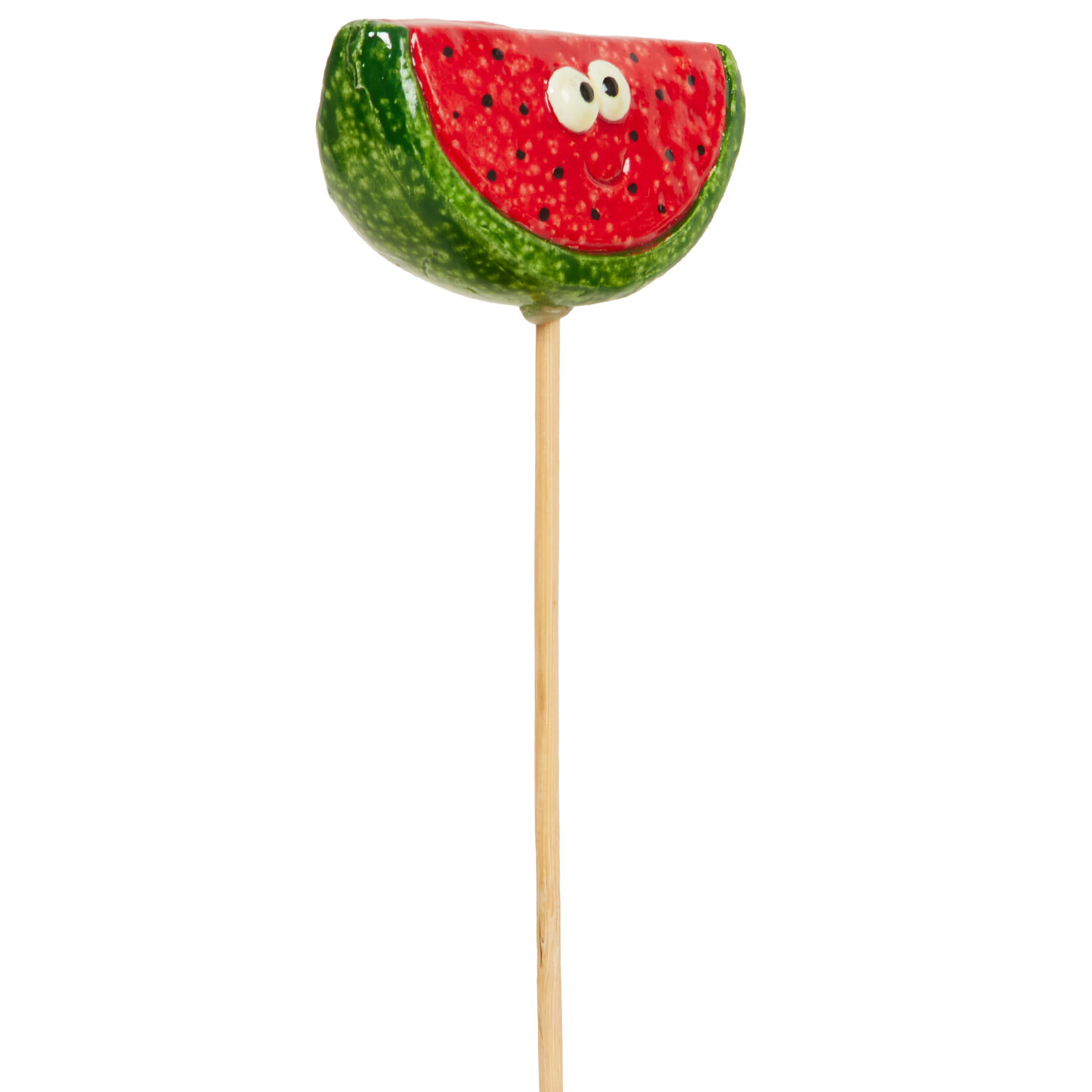 Fruit and Veg Garden Stakes Image 9