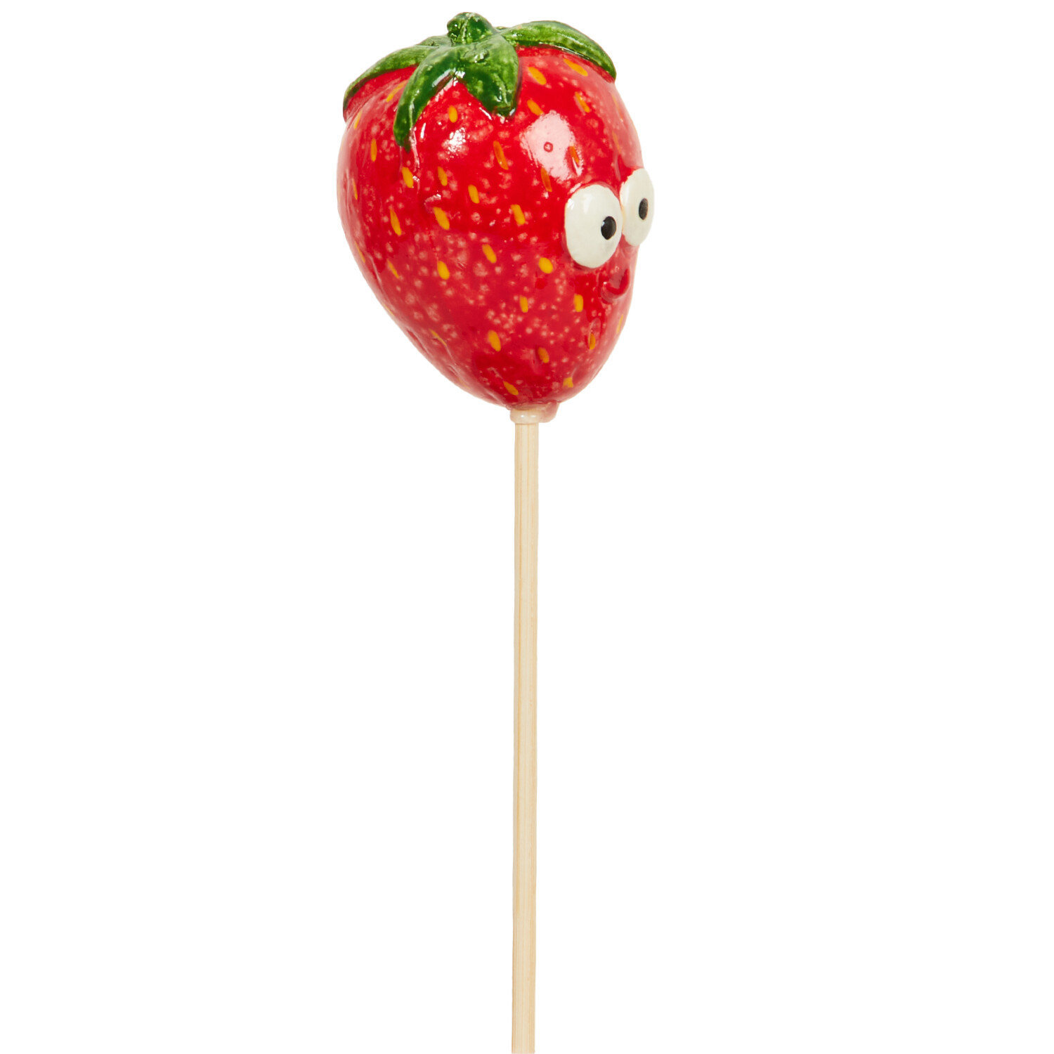 Fruit and Veg Garden Stakes Image 11