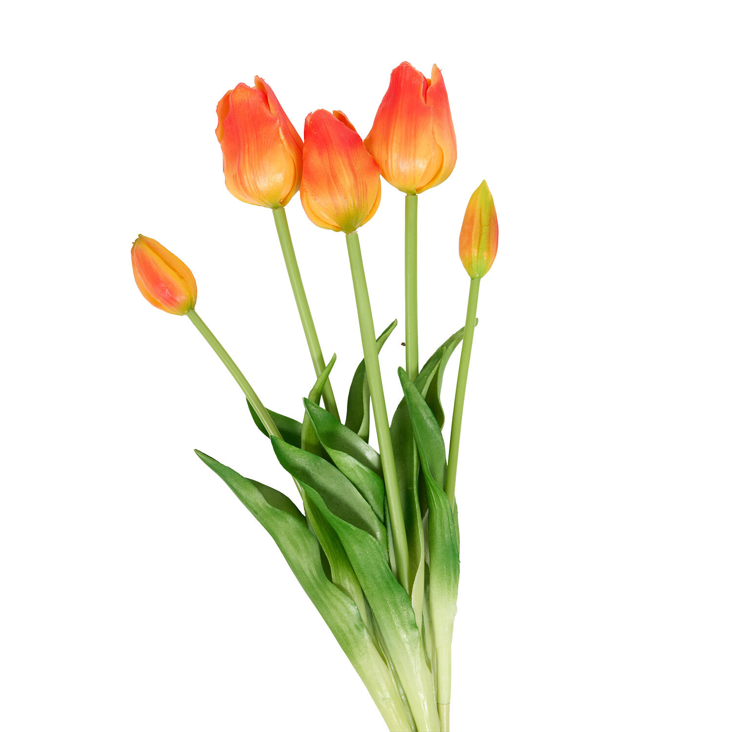 Bright Tulip Bunch Image 5