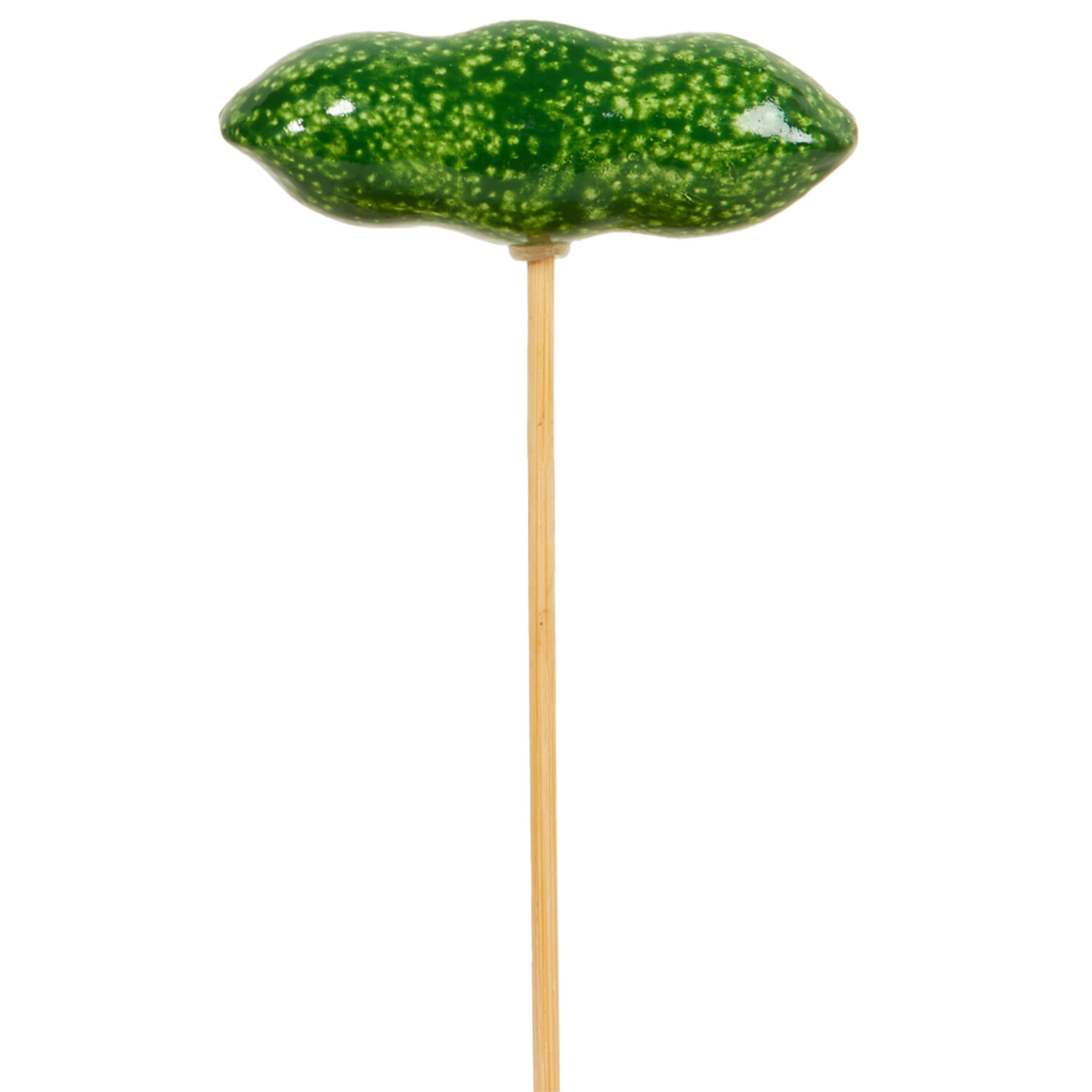 Fruit and Veg Garden Stakes Image 4