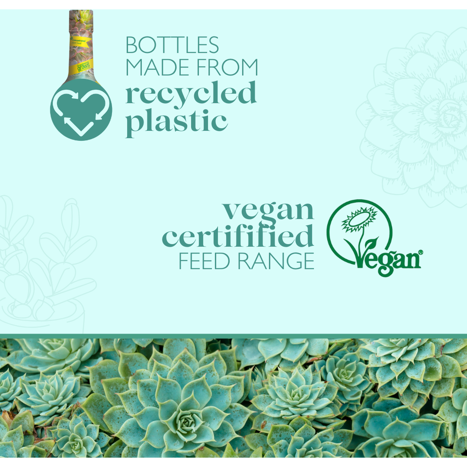 Baby Bio Succulent Food - Green Image 6