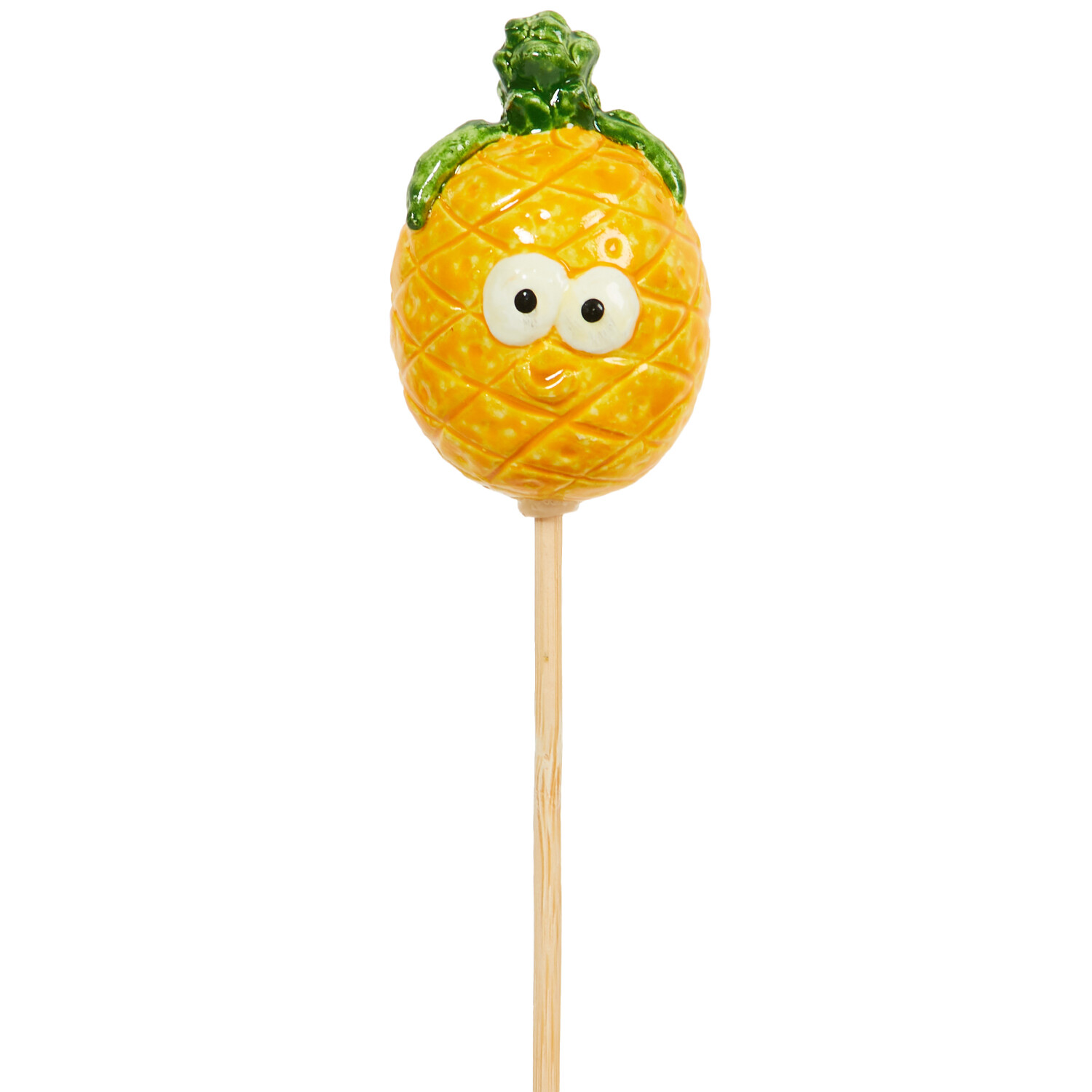 Fruit and Veg Garden Stakes Image 15