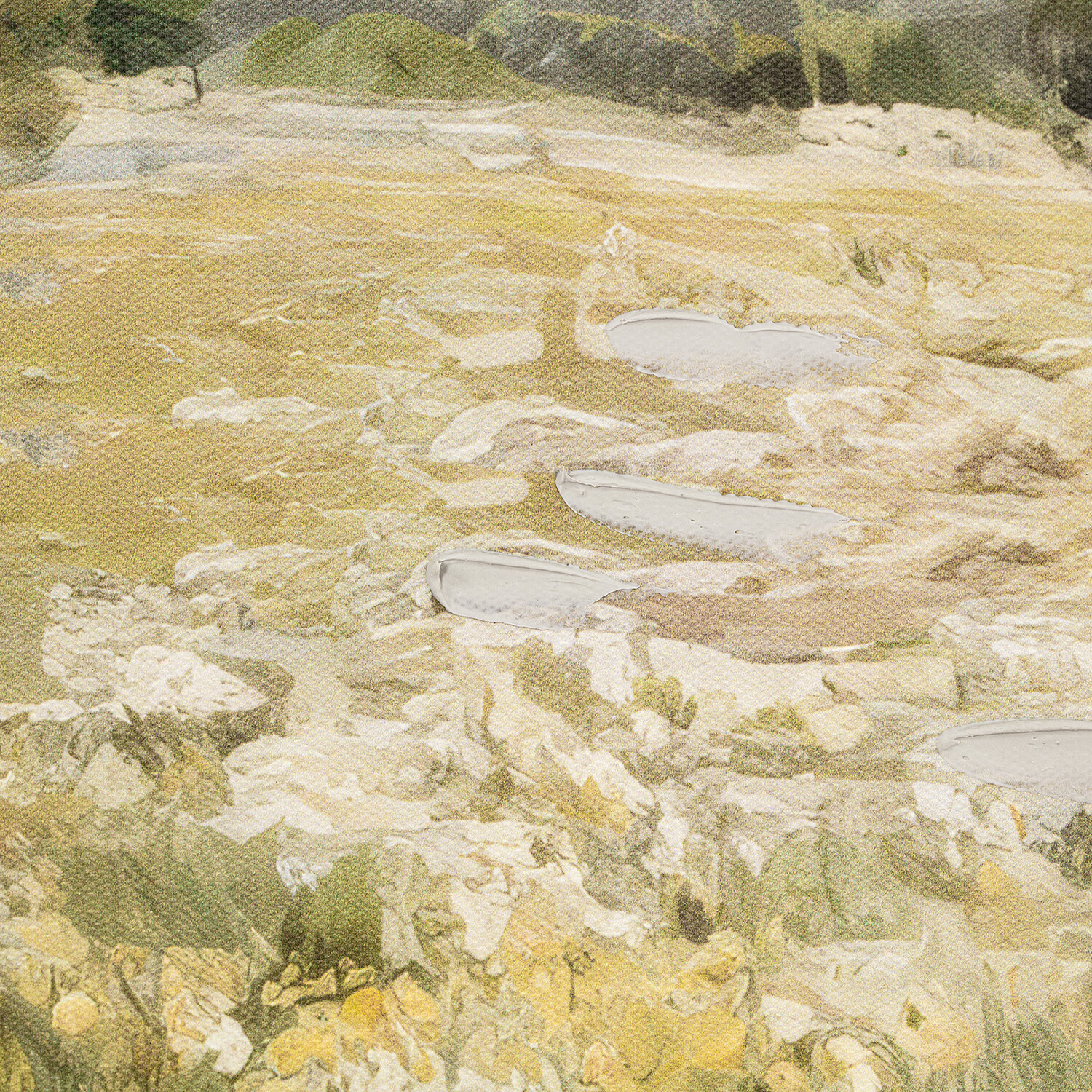 Set of 2 In the Meadows Canvases Green Image 2