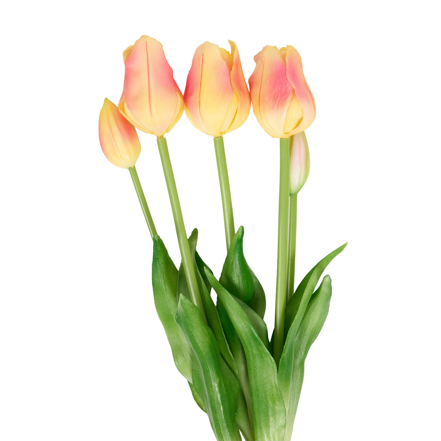 Bright Tulip Bunch Image 6