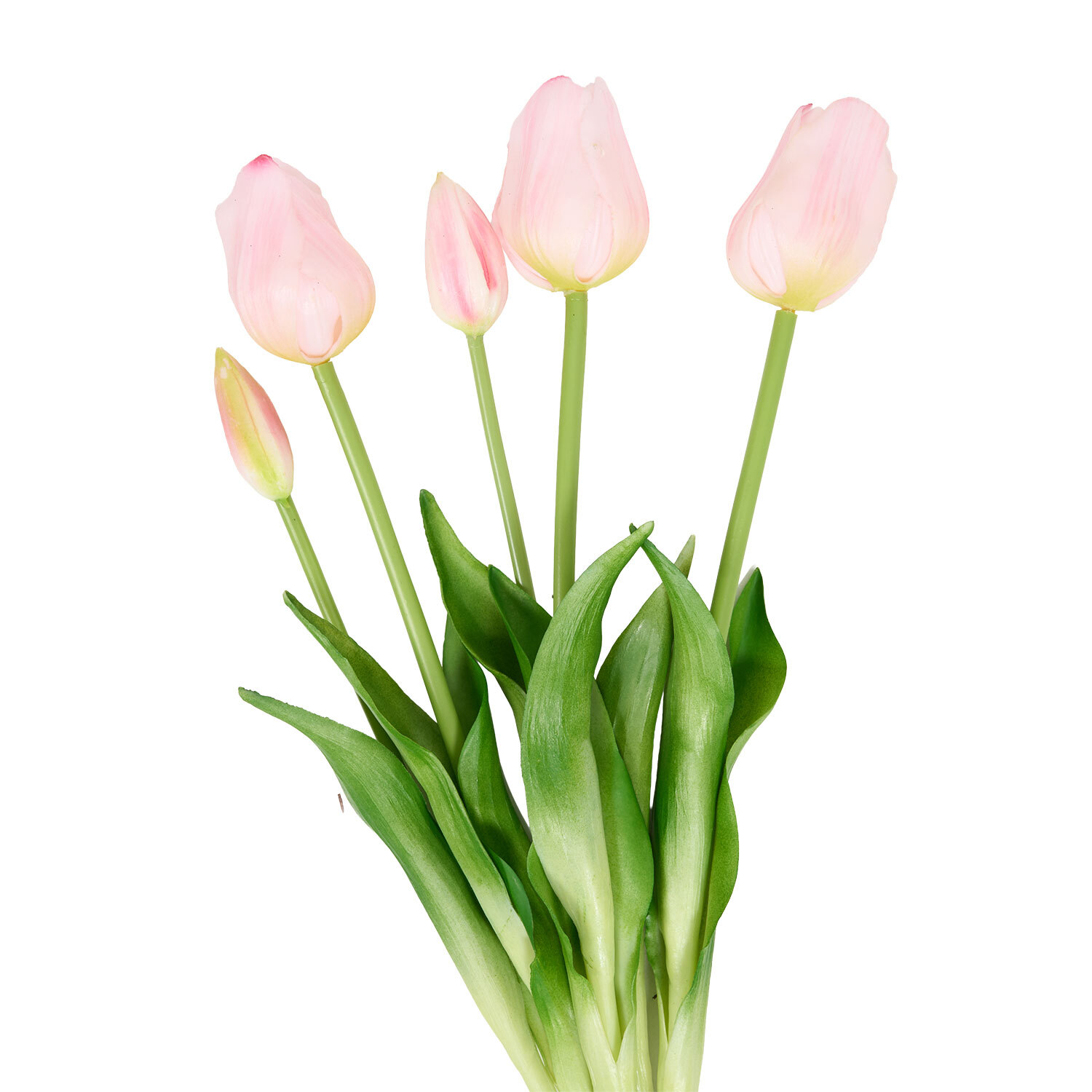 Bright Tulip Bunch Image 2