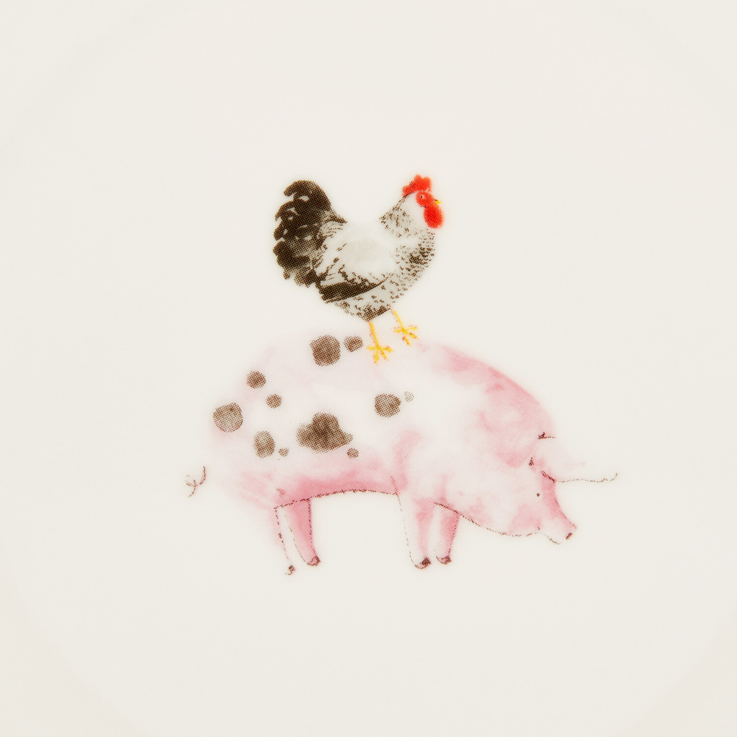 Daisy Farm Side Plate 7.5 inch - White Image 4