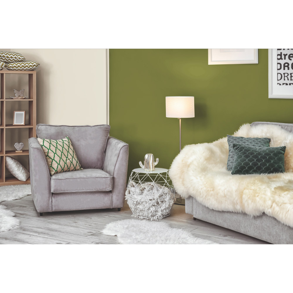 Johnstone's Feature Colours Walls & Ceilings Amphibious Matt Paint 1.25L Image 4