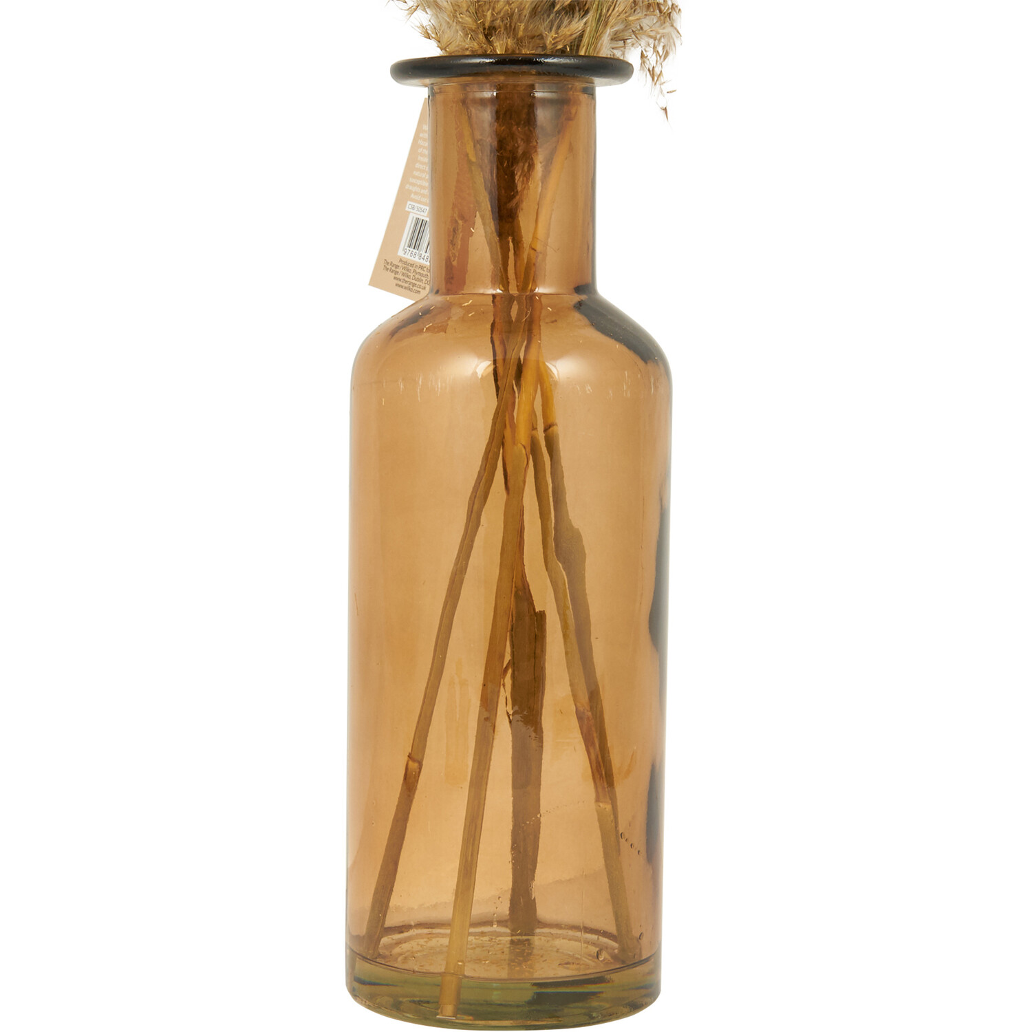 Pampas in Amber Vase Arrangement Neutral Image 4