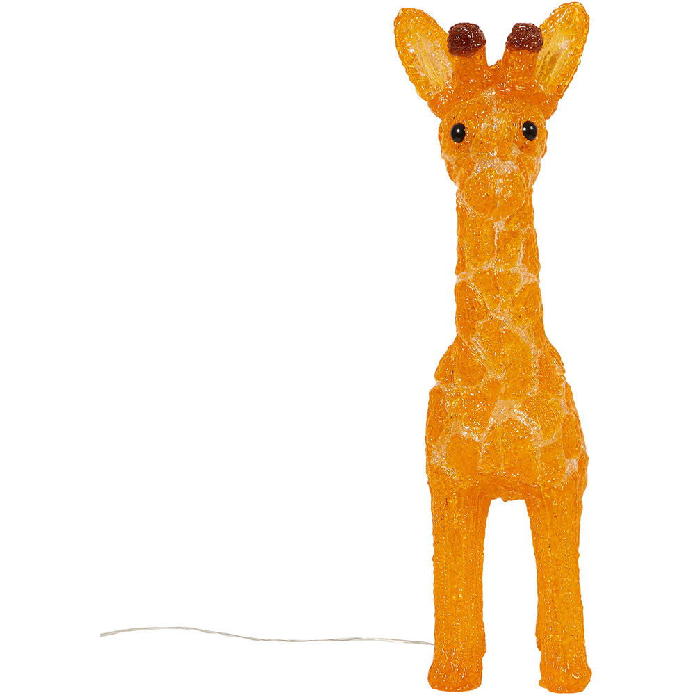 Acrylic Giraffe Light - Orange Image 2