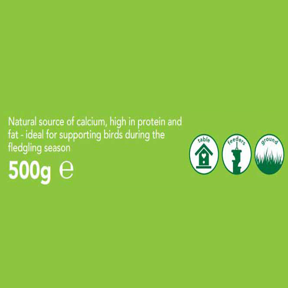 Wilko Wild Bird Dried Calci Worms 500g Image 5