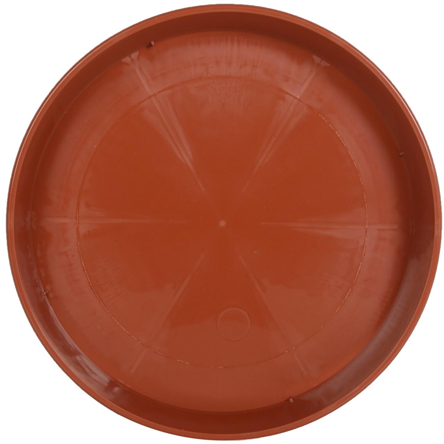 24cm Grow Saucer Image 2