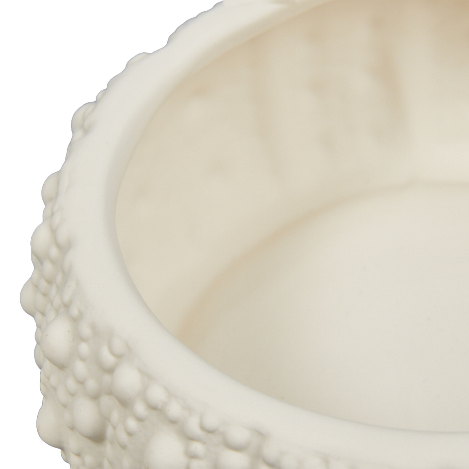 Sea Urchin Trinket Dish - White Image 5