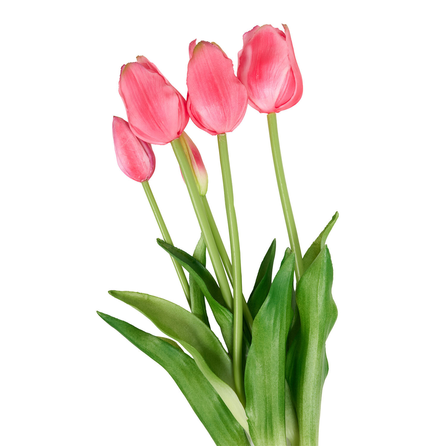 Bright Tulip Bunch Image 4