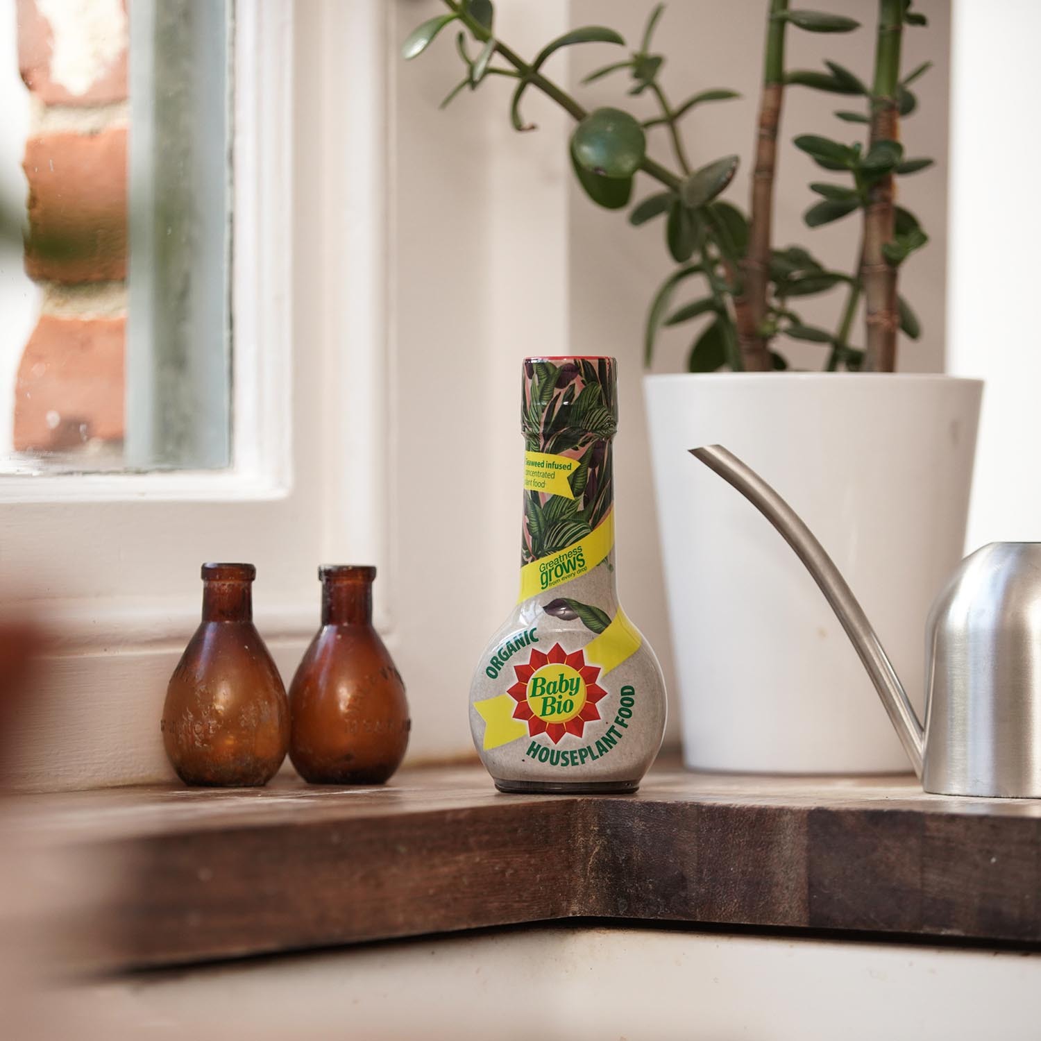 Organic Houseplant Food Image 3